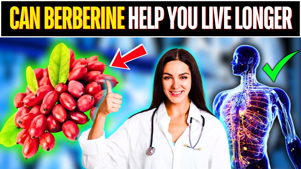 Can Berberine Help You Live Longer? | Upgraded Health